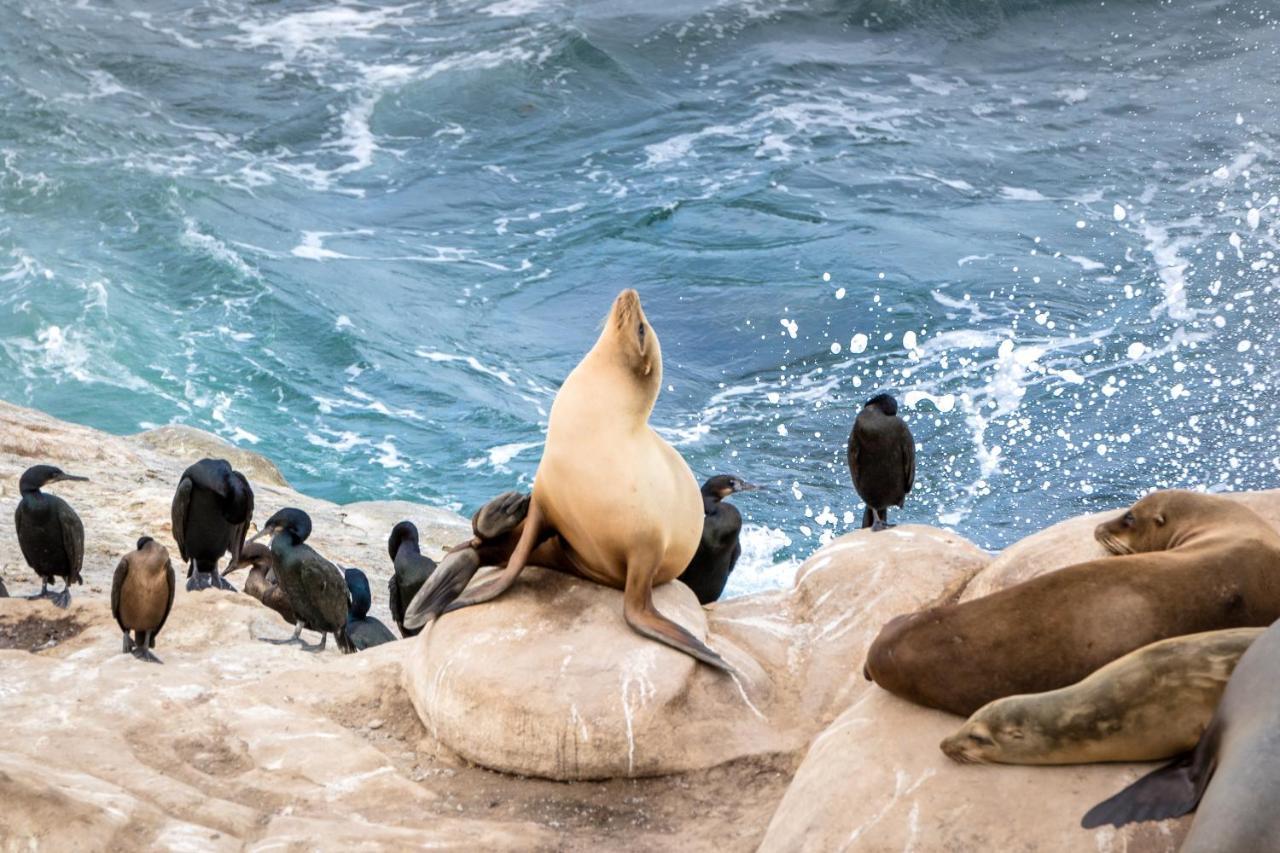 La Jolla Cove 3* San Diego